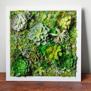 Faux Succulent 3D Wall Art: Rustic Wood Framed Botanical Decor for Home + Business