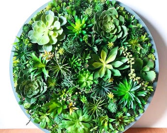 Round 3D Faux Succulent Wall Art: Realistic Moss Artificial Succulents for Home or Business