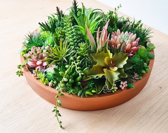 Sukkulenten Garten Arrangement] Kaktus Sukkulenten Schale] Lebendiger  Kakteengarten] Sola Sukkulenten Kakteen Mittelstck] Sukkulentengarten -  Etsy Schweiz