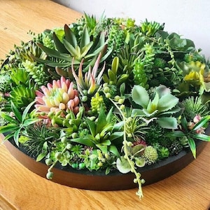 May include: A circular wall decoration featuring a variety of green and pink succulents arranged in a black circular frame.