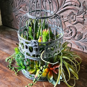 Birdcage Planter - Etsy