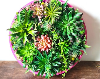 Arte de pared 3D de suculentas artificiales redondas: decoración vegetal realista con marco moderno para el hogar o el negocio