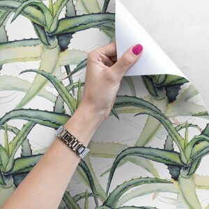 Hand Drawn Aloe Vera Reusable Wallpaper Watercolor Wall - Etsy