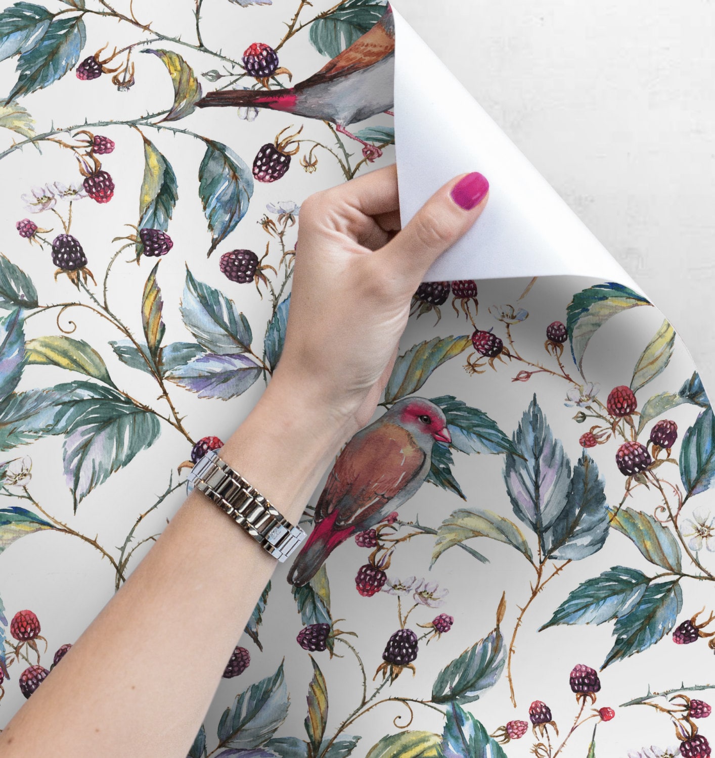 Vintage birds wallpaper Watercolor birds wall mural | Etsy