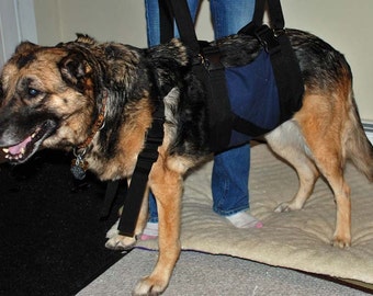 Large Get-a-Grip Dog Harness: Injury Support, 34-42" Chest