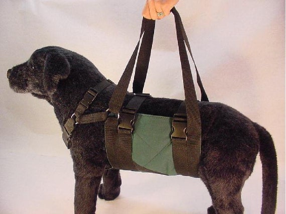 Medium Dog Harness Medium Get a grip Dog Harness for 2734 Chest From Animal Suspension Technology Etsy
