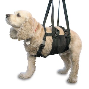 Small Dog Harness, Get-a-Grip Dog Harness, Small, for 22&quot;-27&quot; Chest
