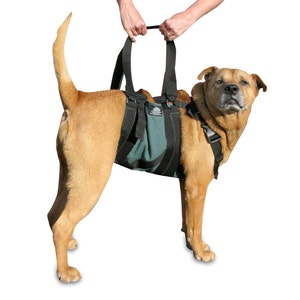 Dog Harness, Medium Get-a-Grip Dog Harness for 2734 Chest, from AST image 4