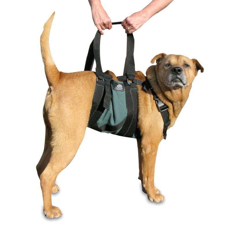 Dog Harness, Medium Get-a-Grip Dog Harness for 2734 Chest, from AST image 4