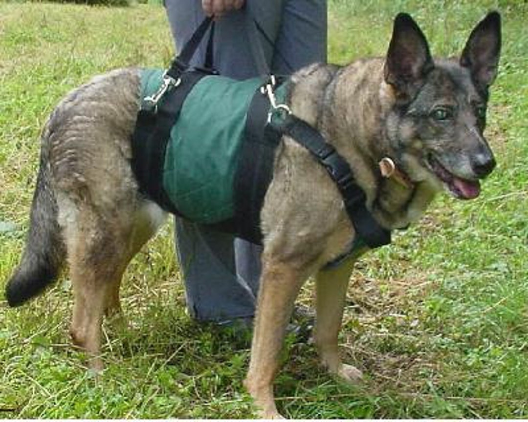 Dog amputation harness hotsell