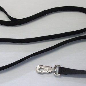 super long dog leash