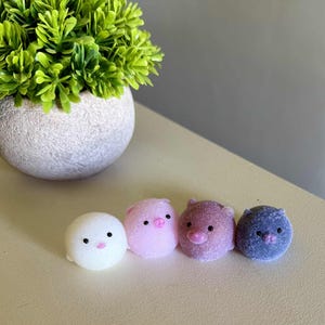 May include: Four small, round, plush pig figurines in a row. The pigs are white, pink, purple, and blue. Each has a small snout and black eyes. A green plant in a white pot sits in the background.