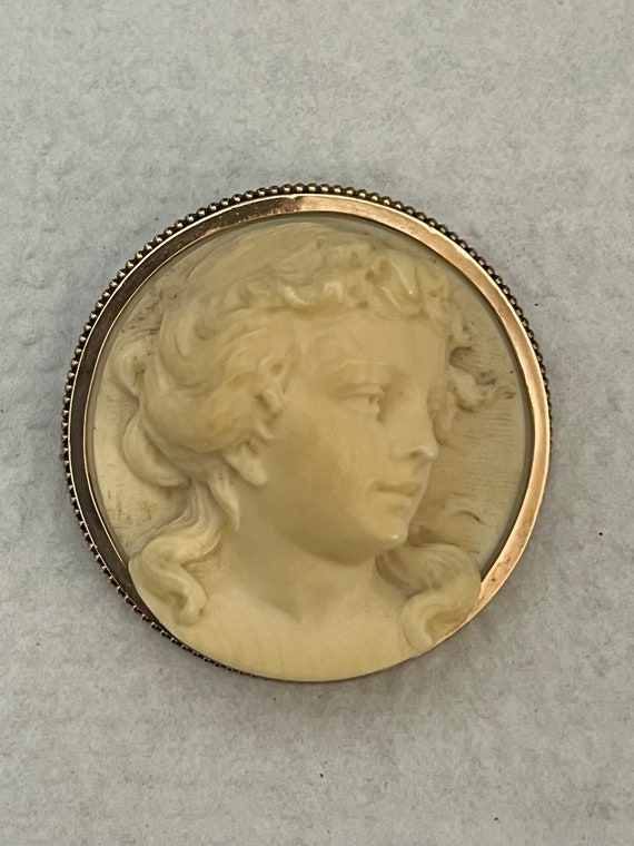 Three dimensional cameo pin/pendant