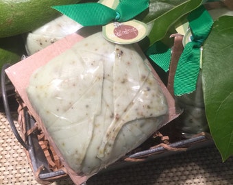 Avocado Soap