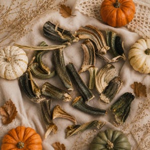 15 Natural Dried Pumpkin Stems: Autumn DIY Crafting (2-3 inch)