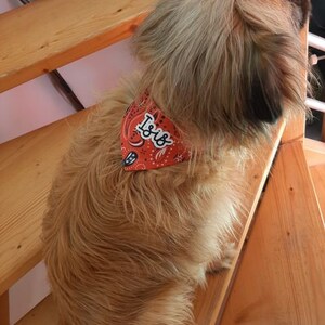 Bandana à scratch personnalisé pour chien, animal de compagnie image 5