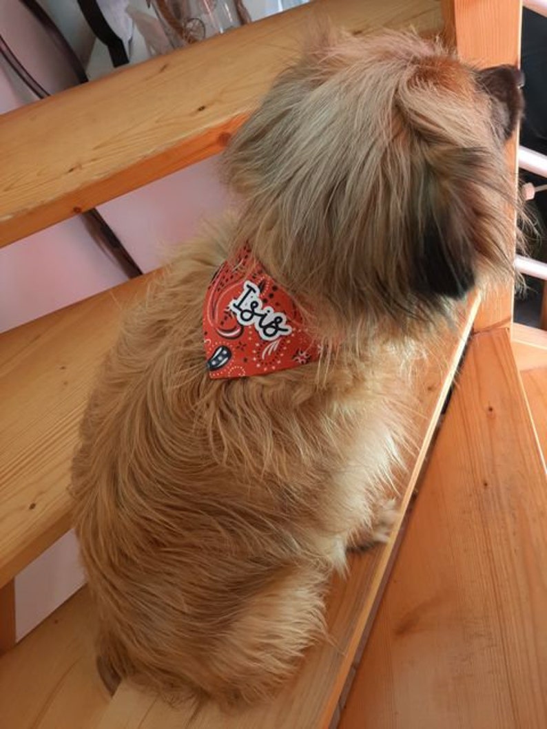 Bandana à scratch personnalisé pour chien, animal de compagnie image 5