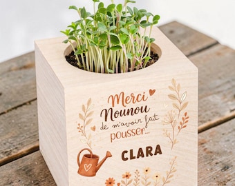 Ecocube personalizzato per una tata | Un regalo originale di fine anno per una tata eccezionale