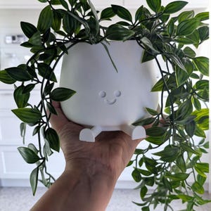 Peut inclure: Un pot de fleurs blanc souriant avec de petits pieds, contenant une plante verte retombante. Le pot a un visage simple et caricatural avec un sourire incurvé et deux creux pour les yeux. La plante a de nombreuses petites feuilles vertes.