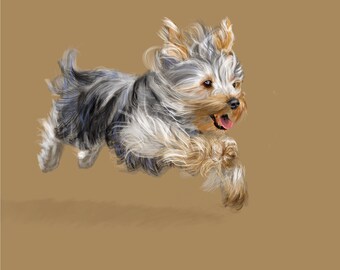 Yorkie, Yorkshire Terrier
