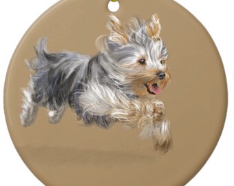 Yorkshire Terrier - "Joy"