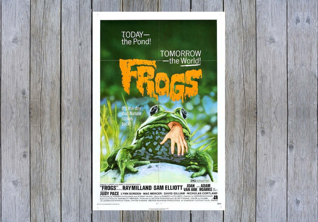 舞台FROGS パンフレットセット 舞台FROGS パンフレットセット 舞台FROGS パンフレットセット 2025年