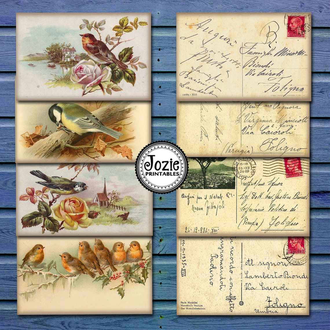 Printable Postcards Vintage Bird Postcards Digital Collage - Etsy