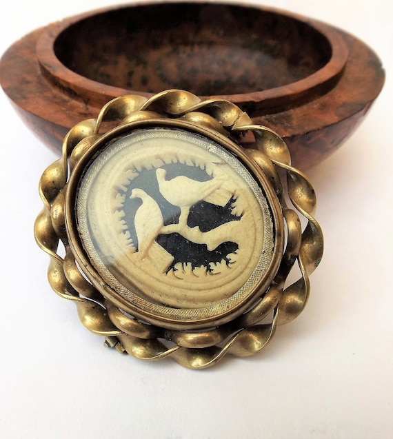 BIG 1900 celluloid animal remembrance brooch pin,