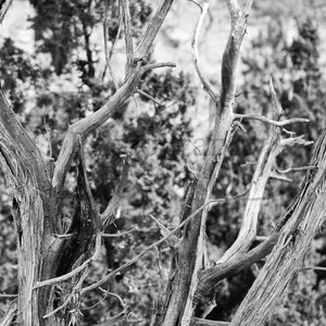 Black and white Tent Rocks-Photography-Digital Download-Wallpaper-Fine Art-ccphotography
