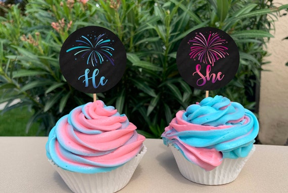 Cupcake Toppers for Firework Themed Gender Reveal Firecracker Gender Reveal Cupcake Toppers 4th of July Gender Reveal Instant Download Il_570xn