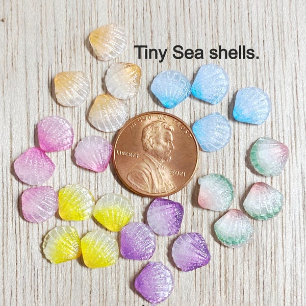 Tiny shell cabochon, mini sea shell, flat back, sea shell, resin, 15 pieces or a mix, translucent, ready to ship, 9*9mm, 3/8 inch