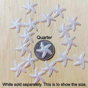May include: White pearl starfish embellishments, approximately the size of a US quarter.  The starfish are shown on a wooden surface.