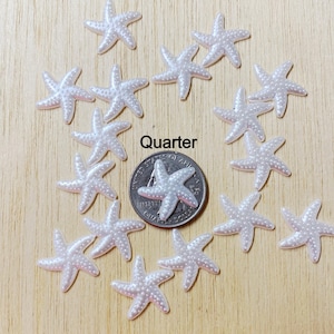 May include: A collection of small, pearlescent white starfish embellishments, each with a textured surface. A U.S. quarter is included for size comparison. The word "Quarter" is printed in black. These decorative starfish are ideal for craft projects.