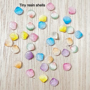 Tiny shell cabochon, mini sea shell, flat back, sea shell, resin, 15, 25, or 50 pieces or a mix, translucent, ready to ship