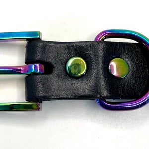 May include: A black leather dog collar with a rainbow iridescent buckle and D-ring.