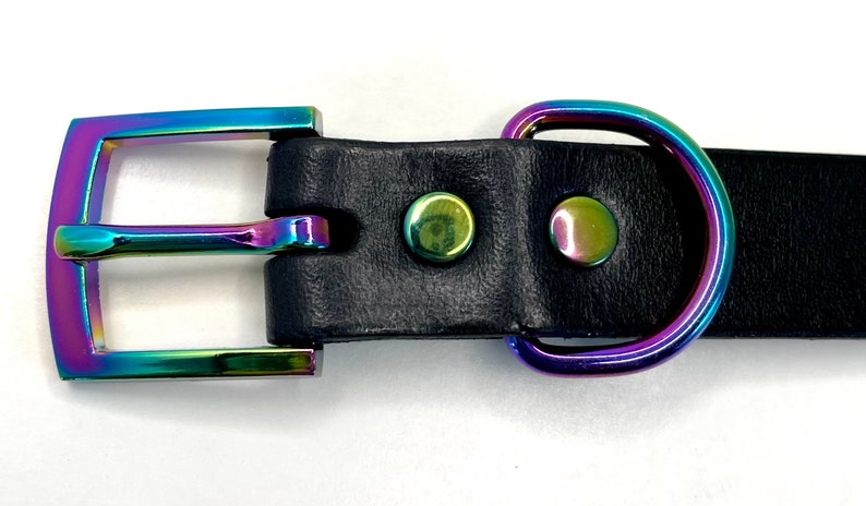 May include: A black leather dog collar with a rainbow iridescent buckle and D-ring.