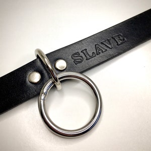 May include: Black leather collar with a silver ring and the word "SLAVE" embossed on the leather.