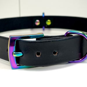 May include: A black leather dog collar with a rainbow iridescent buckle and D-ring.