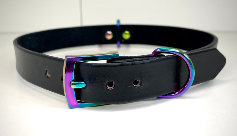 May include: A black leather dog collar with a rainbow iridescent buckle and D-ring.