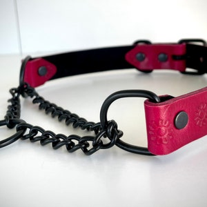 Handcrafted Red Leather Suns Martingale Collar Pet Play Collar for Submissive in silver, gold, or black hardware