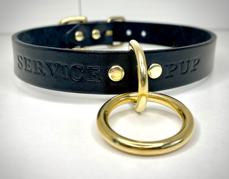 May include: Black leather collar with gold hardware and the words "SERVICE PUP" embossed on the front.