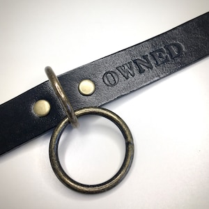 May include: Black leather collar with a brass ring and the word "OWNED" embossed on the leather.