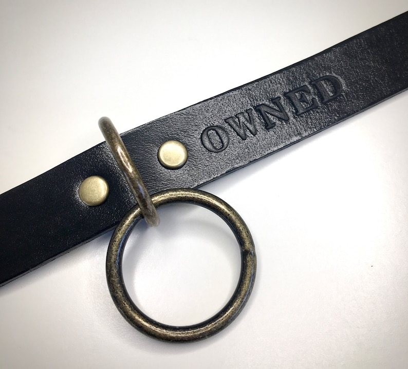 May include: Black leather collar with a brass ring and the word "OWNED" embossed on the leather.