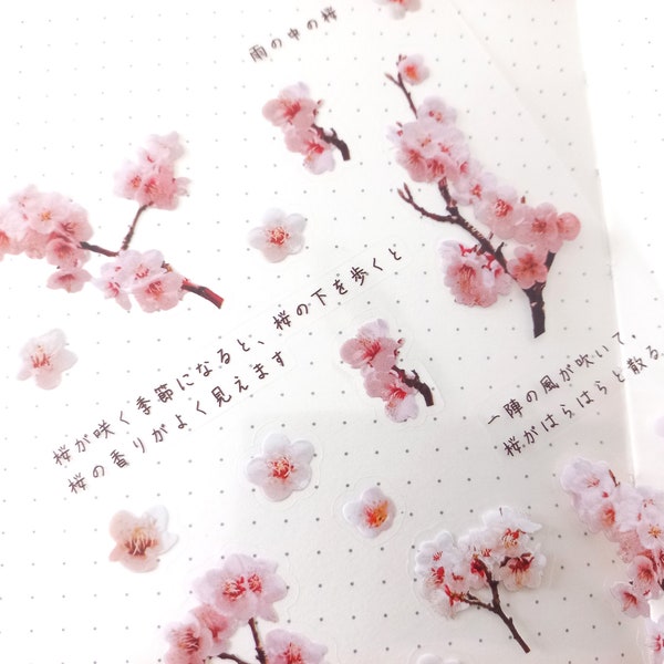 Stickers Japon fleurs de cerisier, autocollants transparents - sakura hanami