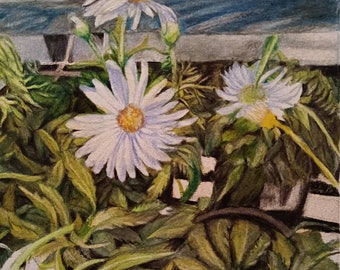 Daisies at the Market Art Original - Art - Wall Art - Nature - Daisies - Flower