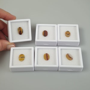 Flat shape in natural Agate ideal for creating bijoux - sliced agate worked // Flat shape in natural Agate ideal for creating bijoux