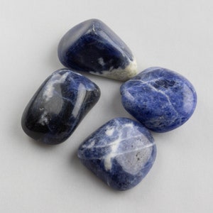 SODALITE Tumbled - Crystal Therapy Stones - S size stones // Tumbled Stones