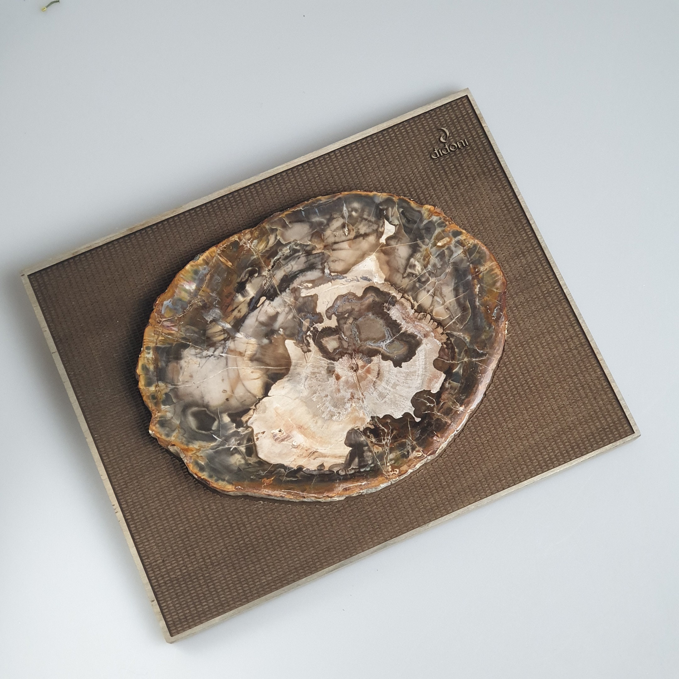 専門店 Vintage petrified wood tray 珪化木 トレイ 1点