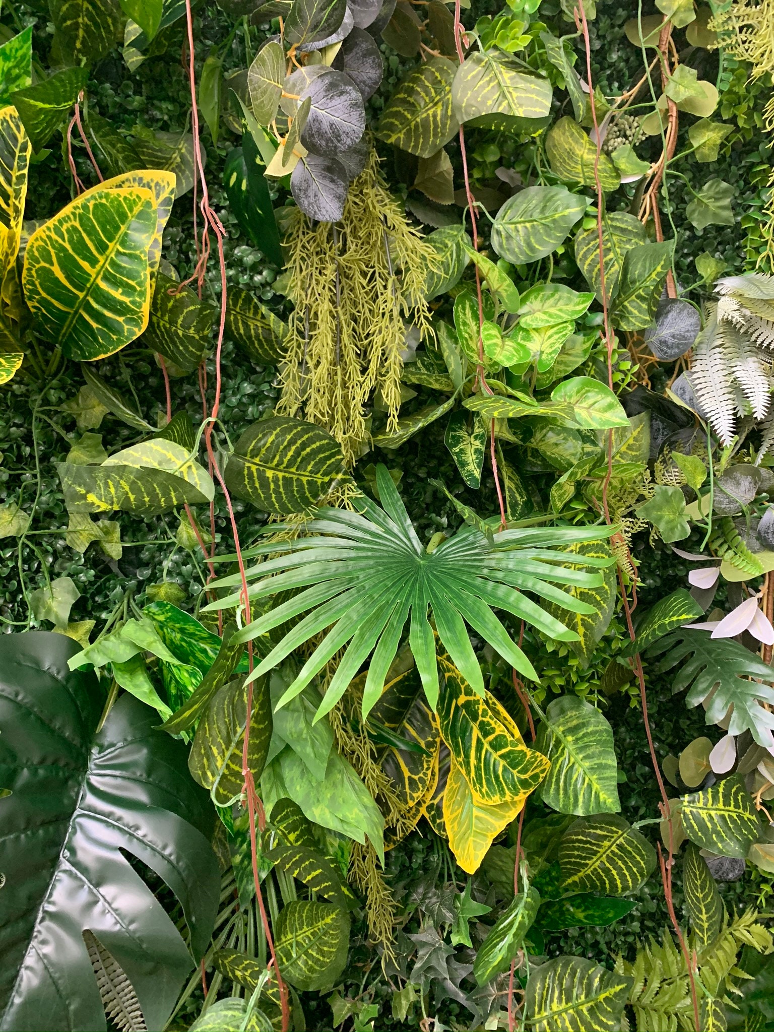Luxury Jungle / Living Wall Backdrop FOR HIRE ONLY Etsy
