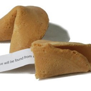 May include: Two fortune cookies, one with the message "Love will be found from a" visible. The cookies are light brown and have a slightly cracked texture.